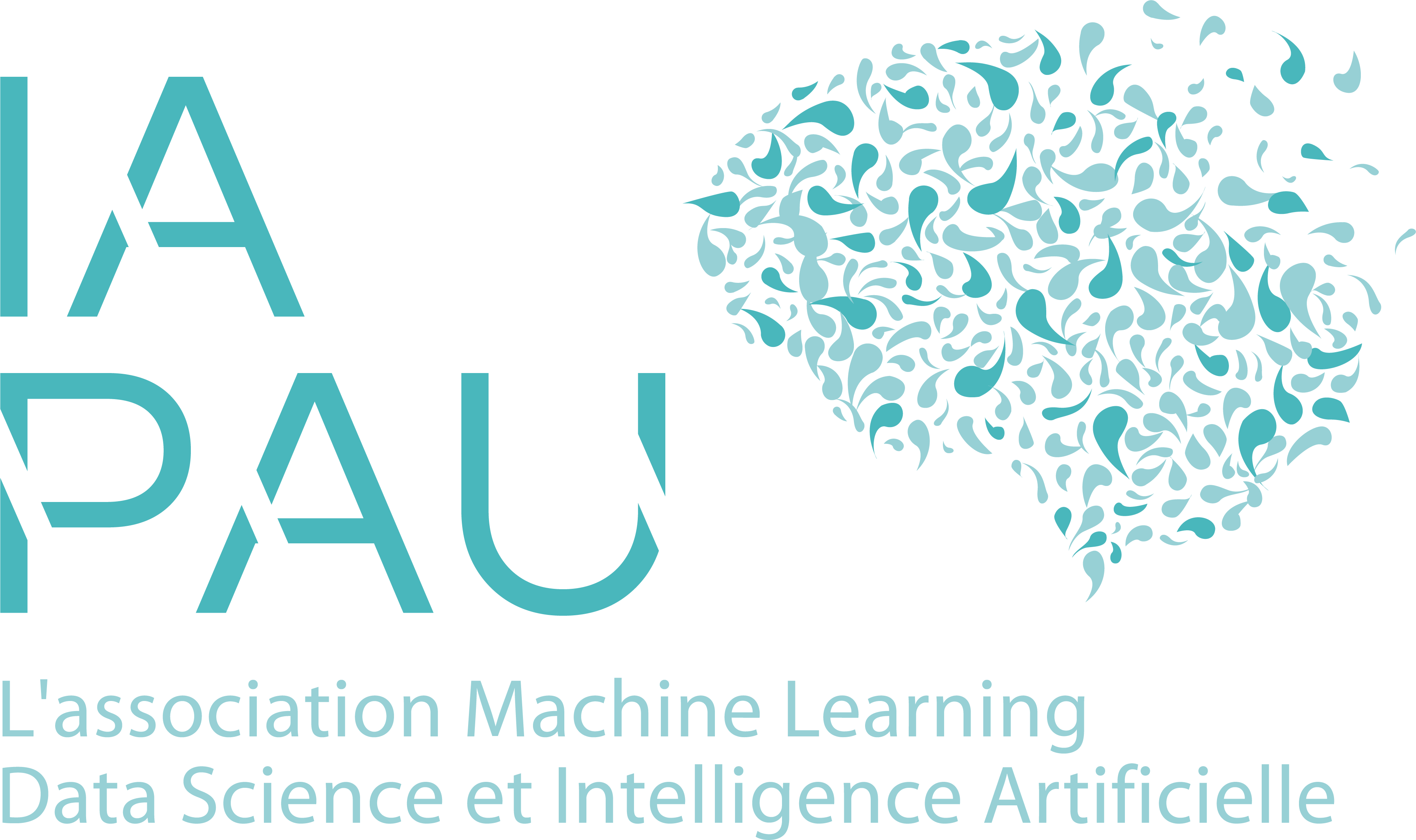Logo Association IA PAU